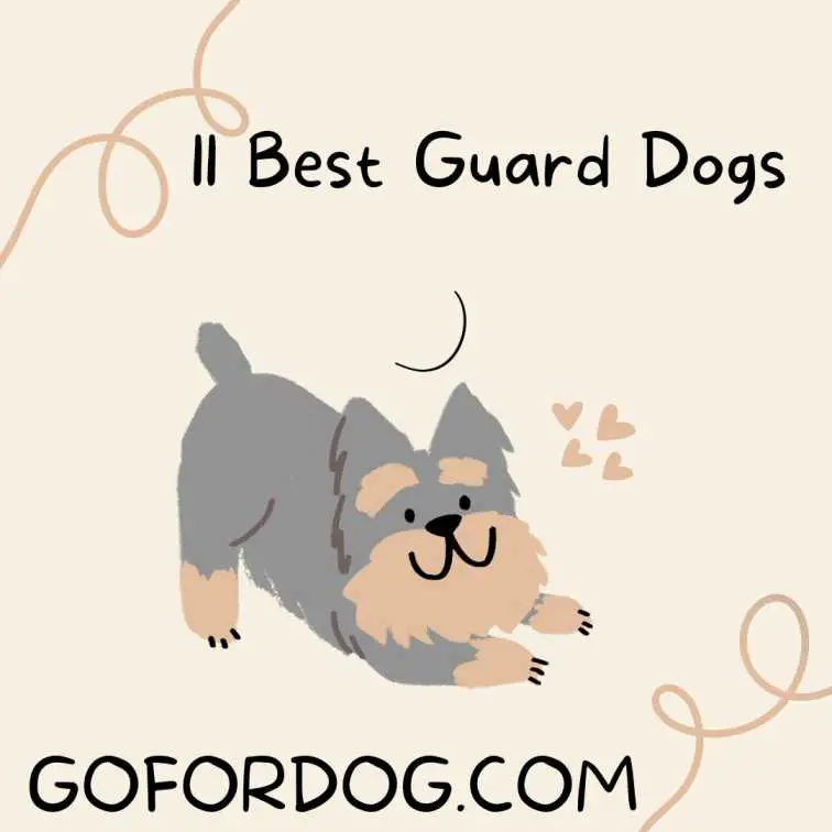 11 best guard dogs