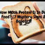 How Much Protein Is In Dog Food?